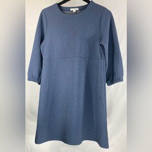 Chic Long Sleeve Dress in Blue